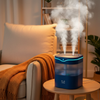 Blue Humidifier - Living Room Chair